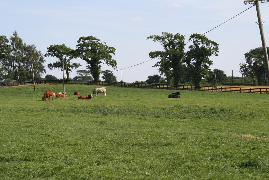 Moate Lodge Athy Eksteriør billede