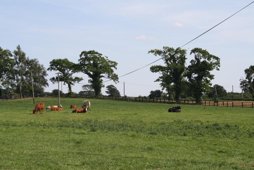 Moate Lodge Athy Eksteriør billede